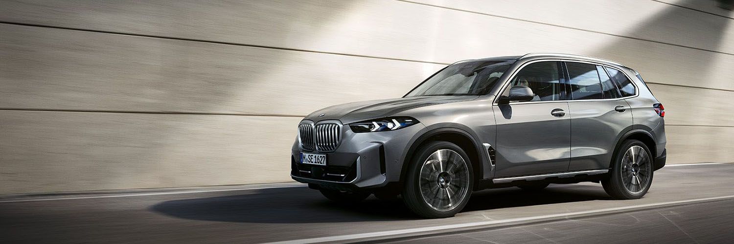 THE X5 - Der BMW X5