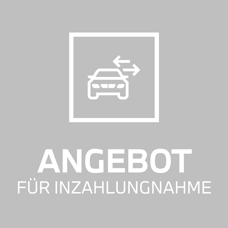 Inzahlungnahme