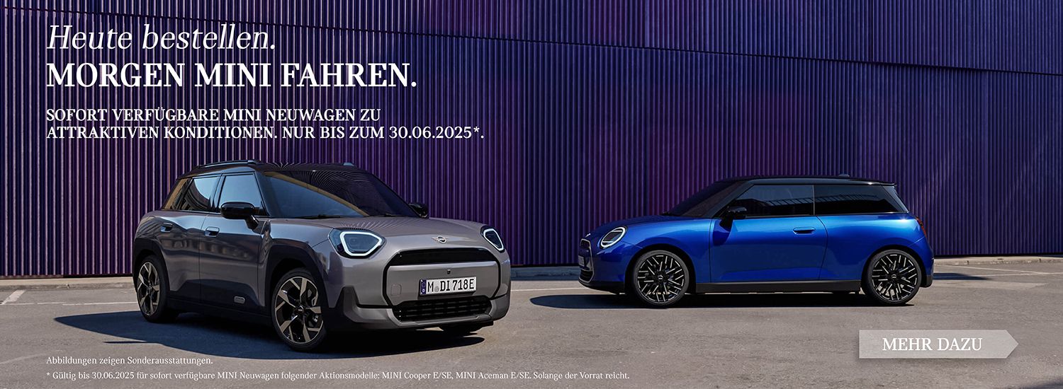 MINI Abverkaufsaktion 2025-Q2