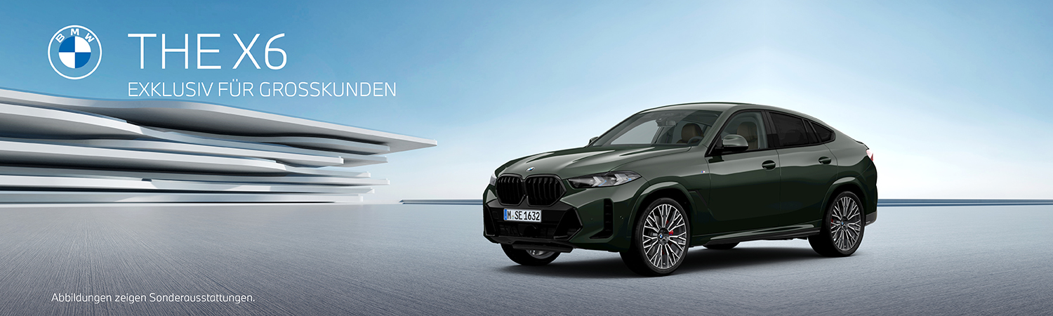 BMW X6 - Großkunden