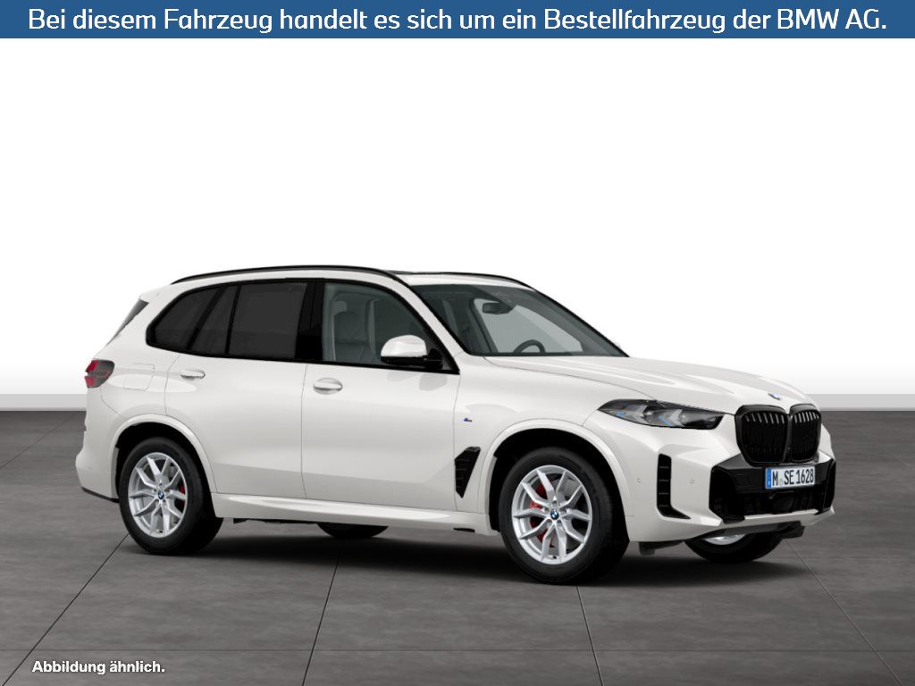Fahrzeugabbildung BMW X5 xDrive40d