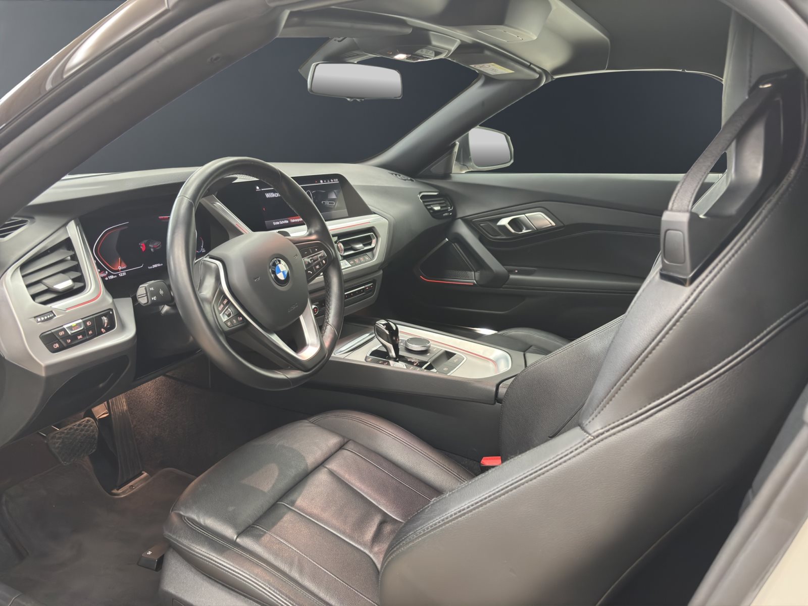 Fahrzeugabbildung BMW Z4 sDrive20i [Advantage, LC Prof., HiFi, RFK]