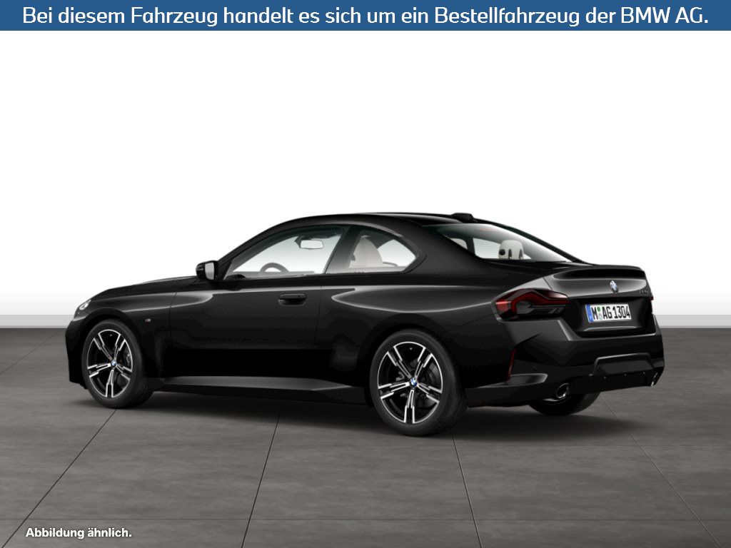 Fahrzeugabbildung BMW 220i Coupé