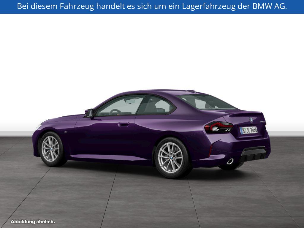Fahrzeugabbildung BMW 220d Coupé