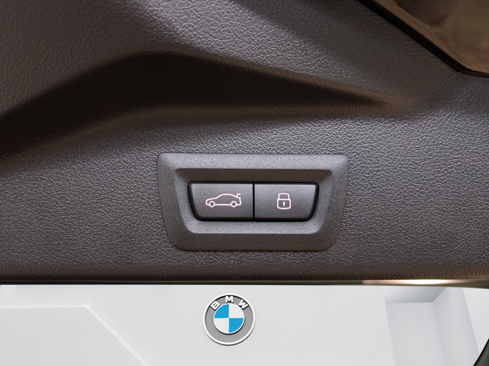 Fahrzeugabbildung BMW X5 xDrive50e [M Sport Pro, HUD, AHK, ACC, 22 LMR]