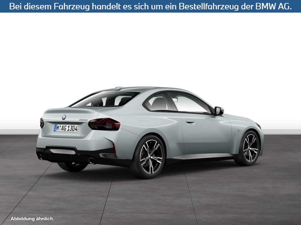 Fahrzeugabbildung BMW 220i Coupé