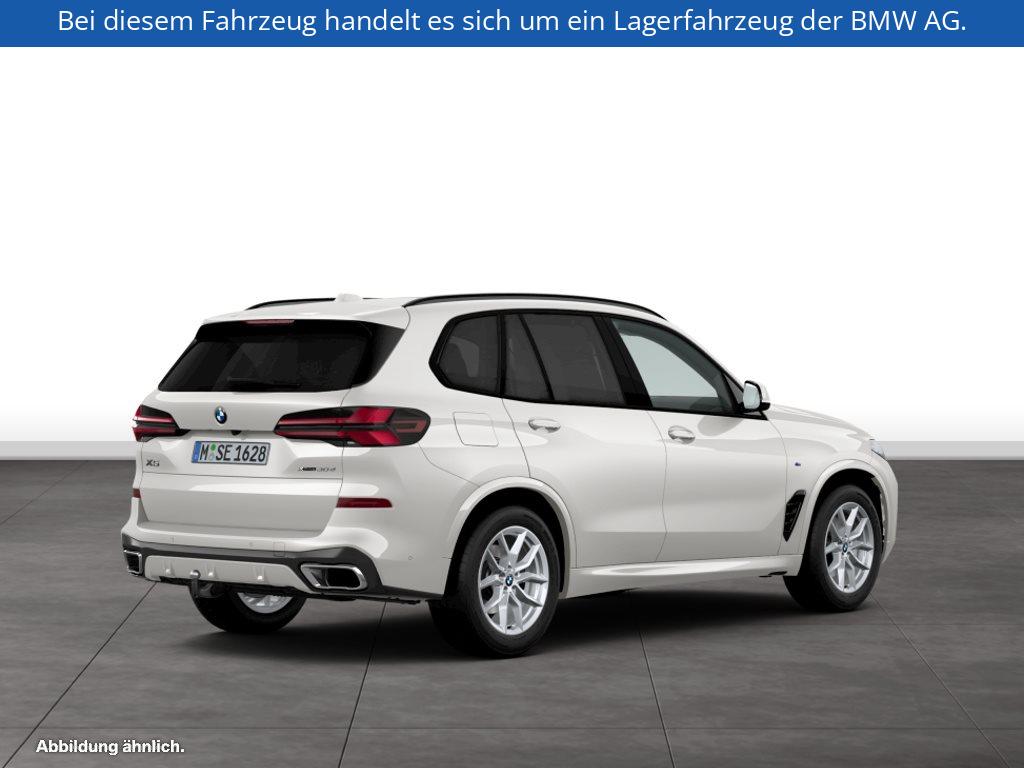 Fahrzeugabbildung BMW X5 xDrive30d