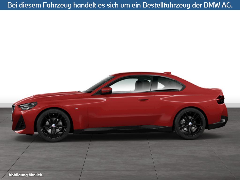 Fahrzeugabbildung BMW 220i Coupé