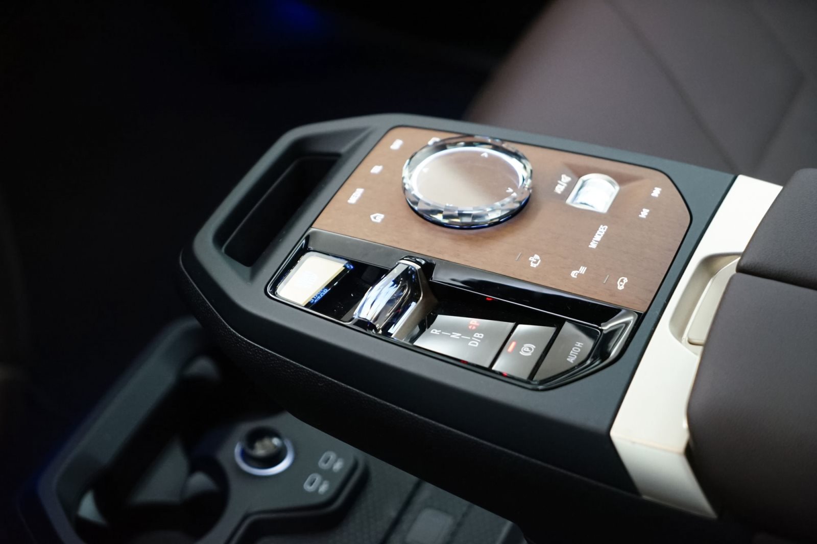 Fahrzeugabbildung BMW iX xDrive40 [DA Prof., Laser, HK Sound, AHK]