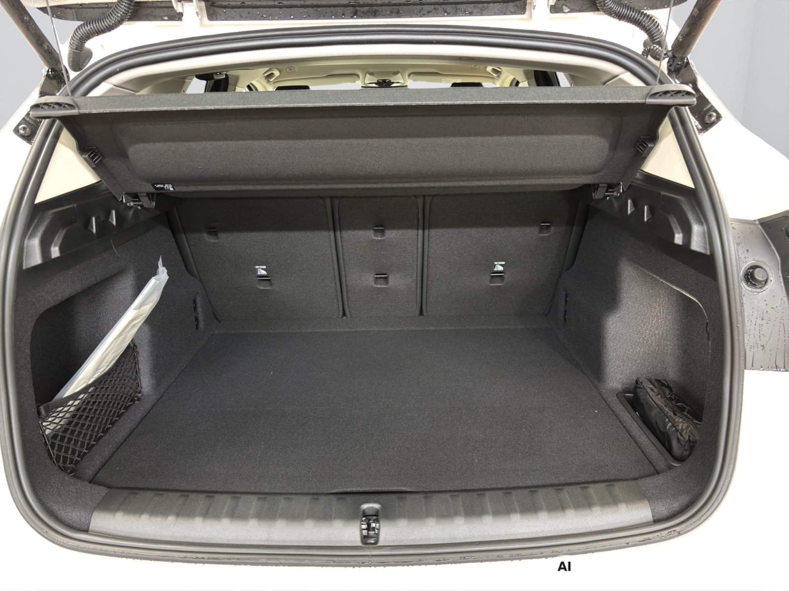 Fahrzeugabbildung BMW X1 sDrive20i [xLine, AHK, ACC, RFK, 18 LMR]