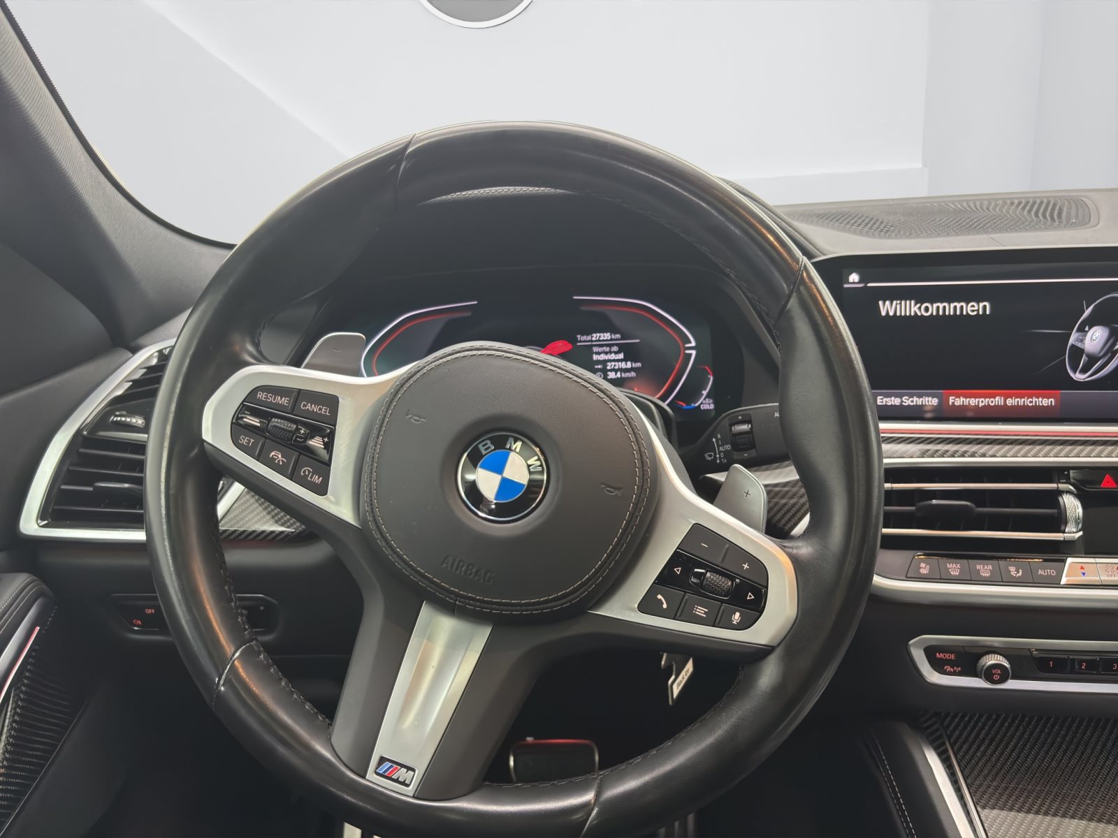 Fahrzeugabbildung BMW X6 xDrive30d [M Sport, Laser, ACC, RFK, Pano]