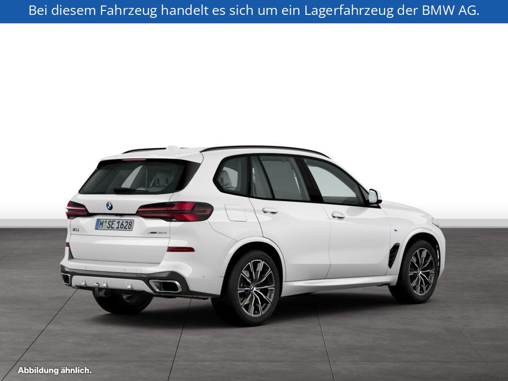 Fahrzeugabbildung BMW X5 xDrive30d