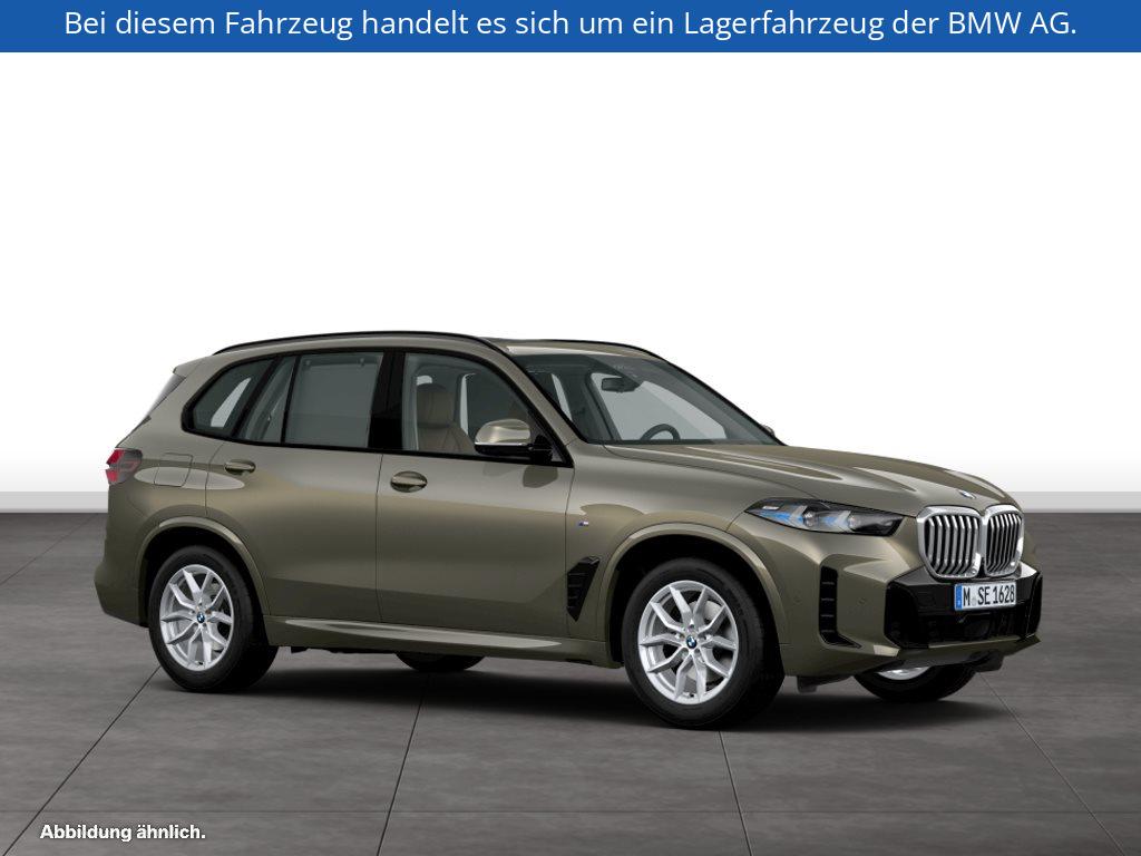 Fahrzeugabbildung BMW X5 xDrive30d