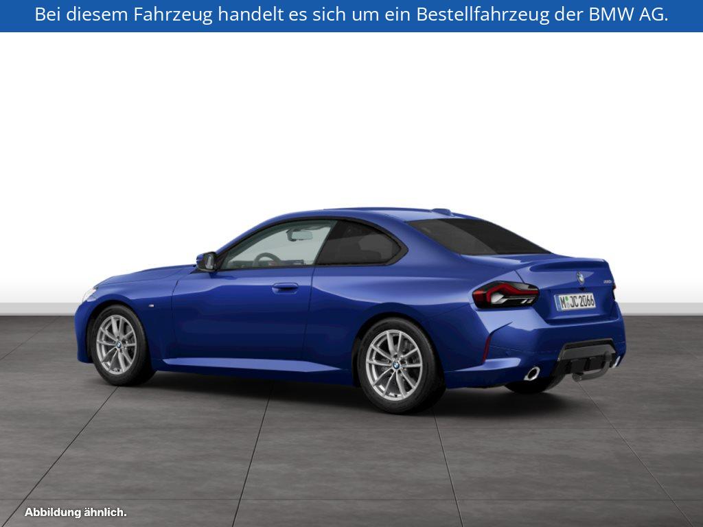 Fahrzeugabbildung BMW 220i Coupé
