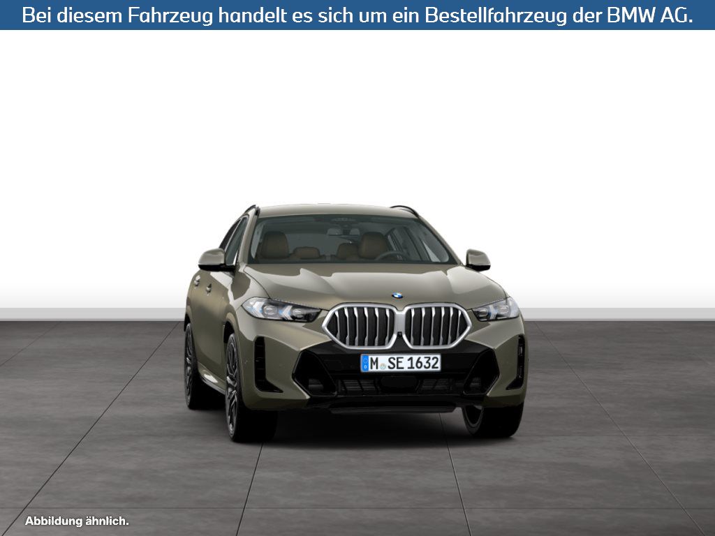 Fahrzeugabbildung BMW X6 xDrive40i M Sport