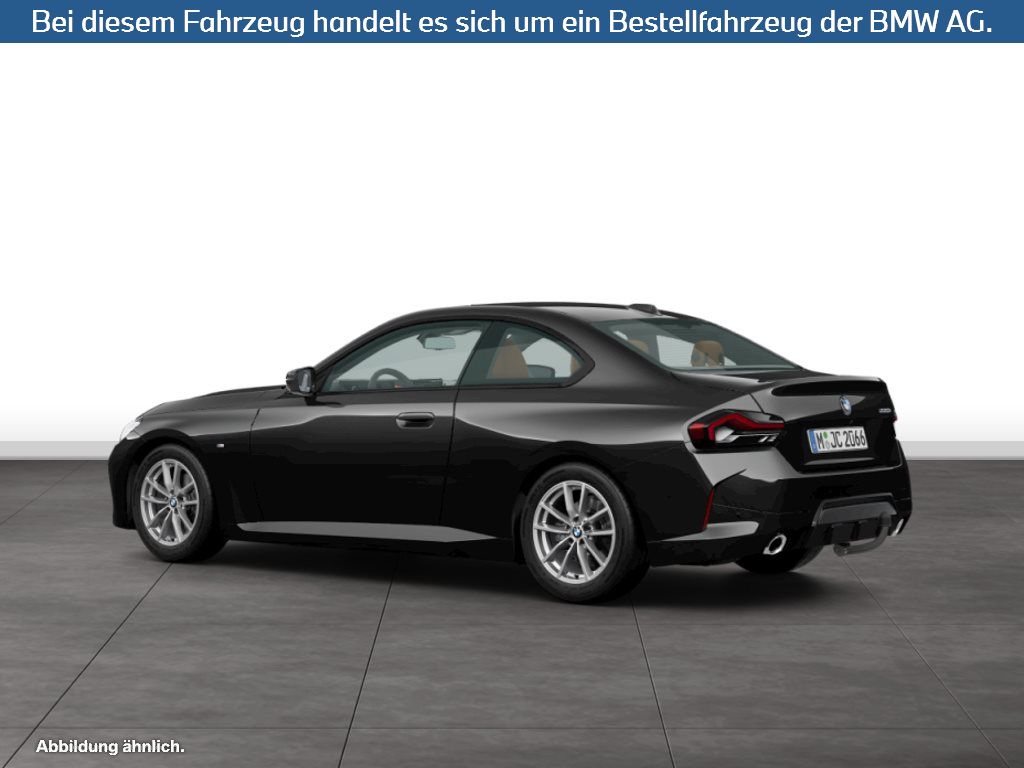 Fahrzeugabbildung BMW 220i Coupé