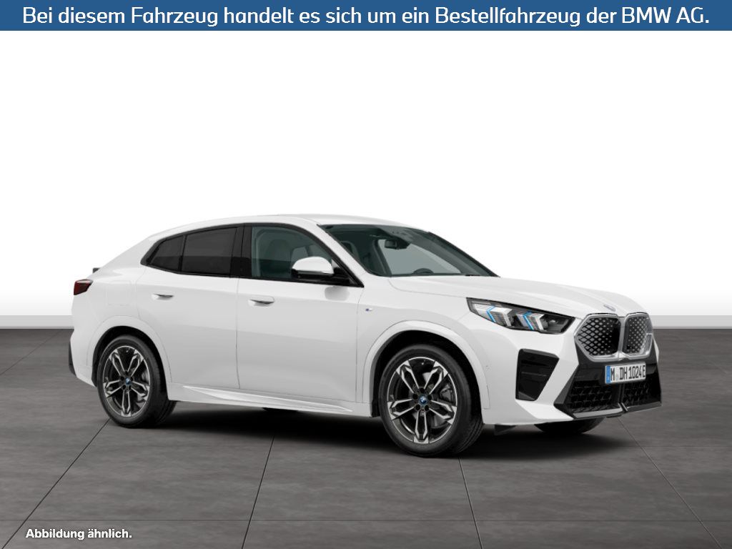 Fahrzeugabbildung BMW iX2 xDrive30