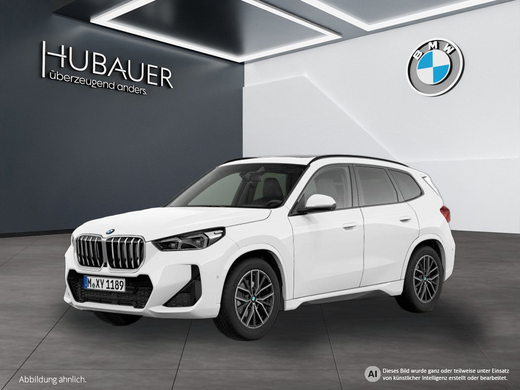 Fahrzeugabbildung BMW X1 xDrive20d