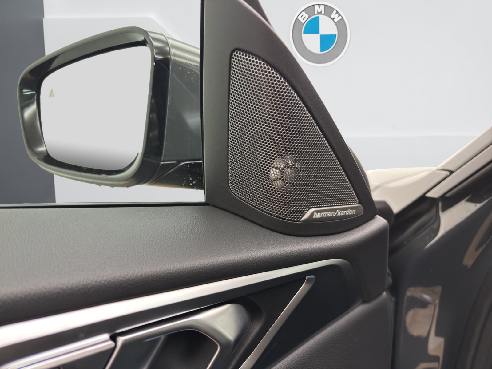 Fahrzeugabbildung BMW i4 eDrive40 [M Sport Pro, HUD, AHK, ACC, 19 LMR]